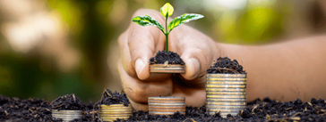 Stacks of coins in soil, with one stack having a plant sprouting on top of it.